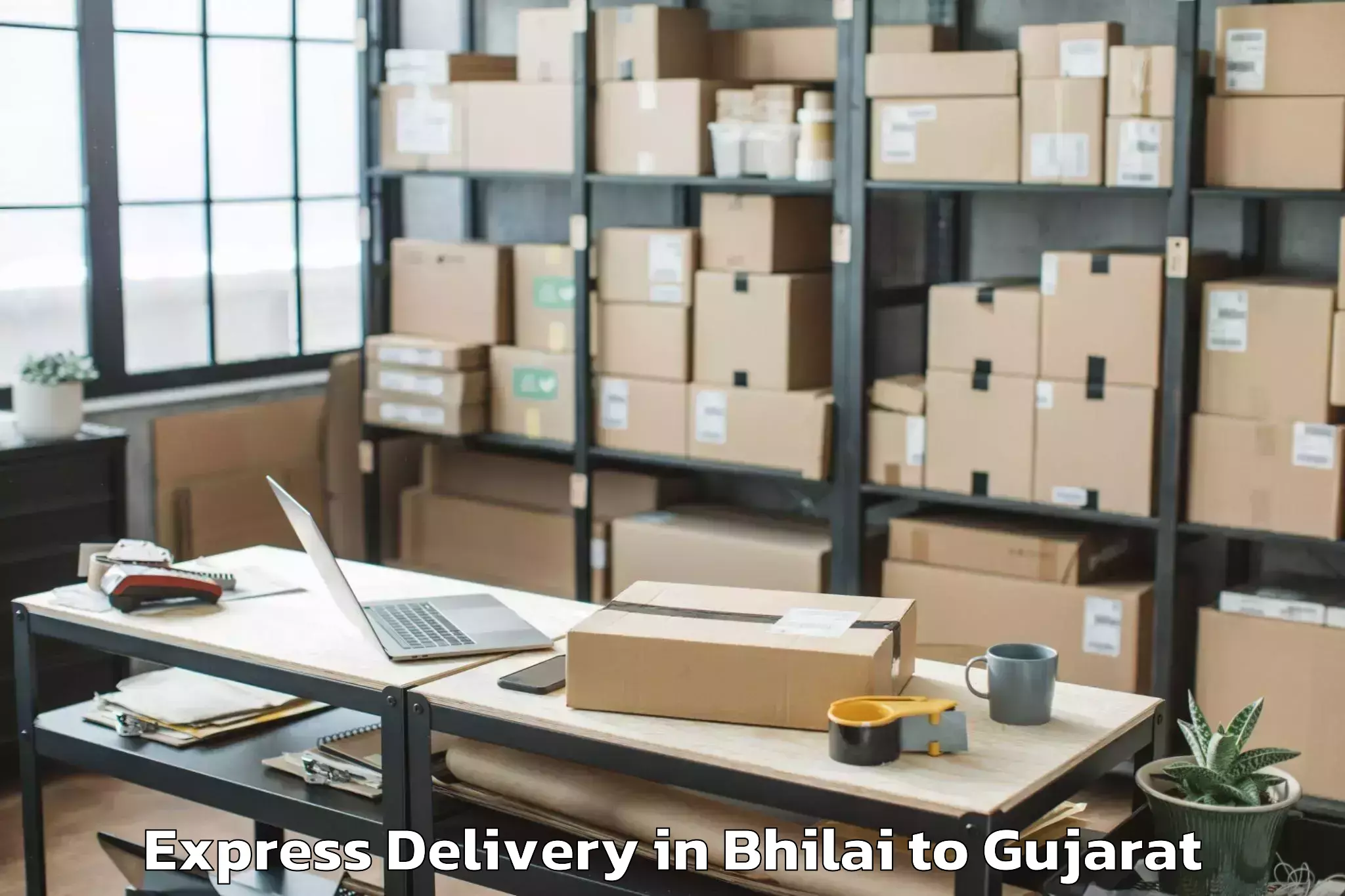 Leading Bhilai to Visavadar Express Delivery Provider